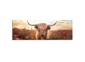 8714597685725 - Deco-Panel REINDERS Frühlingshochländer braun (farbe bild(er) braun) B156cm H52cm T2cm Bilder Wohnzimmer - Braun - MDF - Tiere - 156x52 cm