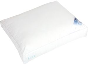 8714736514985 - Kopfkissen POLYDAUN ELKE Gr B L 72 cm x 60 cm Baumwolle 1 St weiß Allergiker Kopfkissen