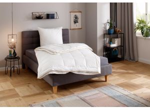 8714736523246 - Microfaserbettdecke QUEENS TEXTILES Luxus Bettdecken Gr B L 155 cm x 220 cm 4-Jahreszeiten weiß Allergiker Bettdecke Bettdecke 135x200 cm und weitere Größen 4-Jahreszeiten oder Winter