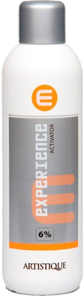 8715563013023 - ARTISTIQUE Collection Experience Experience Activator 60% 1000 ml