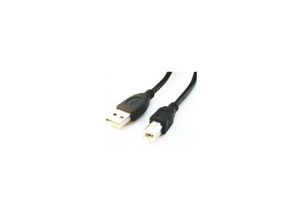 8716309041973 - - CCP-USB2-AMBM-6 USB-Kabel 182 m usb a usb b Schwarz - Black