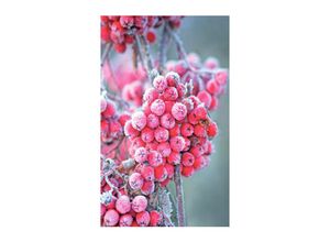 8717266178580 - 2lif - Outdoor Poster Vogelbeeren - textiler Wandbehang ca 95 x 170 cm