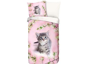 8717285169590 - Kinderbettwäsche GOOD MORNING Pussycat Bettwäsche Gr B L 135 cm x 200 cm 1 St 1 St Renforcé B L 80 cm x 80 cm rosa Baumwolle 135x200 Reißverschluss Wende Kind Mädchen Rosa Katze