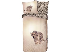 8717285180182 - Wendebettwäsche GOOD MORNING Cheetah Bettwäsche Gr B L 150 cm x 220 cm 1 St 1 St Renforcé B L 80 cm x 80 cm braun (sand natur braun) 100% Baumwolle 135x200 Reißverschluss Wendeoptik Leopard Sand