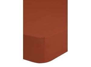 8717285183923 - Spannbettlaken GOOD MORNING Renforcé Good Morning Laken Gr B L 180 cm x 220 cm 1 St Renforcé 180 x 220 cm 25 cm orange (terra) 100% Baumwolle Renforcé Rundumgummi bis 25 cm höhe 80x200 Weiß