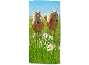 8717285188157 - Strandtuch HORSES 75x150 cm Mehrfarbig - Mehrfarbig