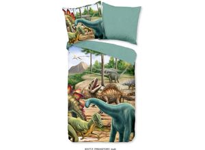 8717285212685 - Kinderbettwäsche GOOD MORNING Prehistory Dinos Bettwäsche Gr B L 135 cm x 200 cm 1 St 1 St Flanell-Biber B L 80 cm x 80 cm bunt (grün multi) Biber 135x200 Weich Warm Reißverschluss Wende Kind Junge Dino