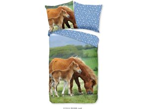 8717285228181 - Kinderbettwäsche GOOD MORNING Regine Bettwäsche Gr B L 135 cm x 200 cm 1 St 1 St Renforcé B L 80 cm x 80 cm blau Baumwolle 135x200 Reißverschluss Wendeoptik Kind Mädchen Pferd