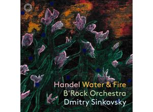 8717306260138 - Water & Fire - Dmitry Sinkovsky BRock Orchestra (CD)