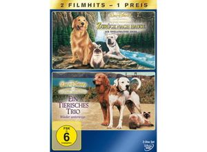 8717418314859 - Zurück nach Hause - Die unglaubliche Reise   Ein tierisches Trio - Wieder unterwegs (DVD)