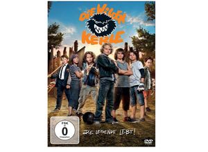 8717418482251 - Die Wilden Kerle 6 Die Legende lebt (DVD)