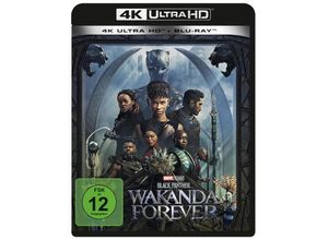 8717418613358 - Black Panther Wakanda Forever