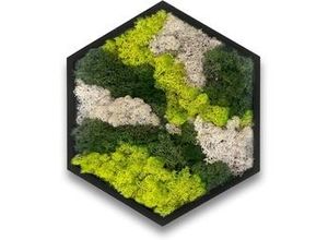 8717432224721 - Moosbild hexagonal 38 cm mit echtem Moos