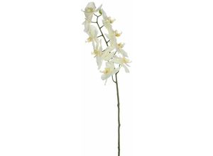 8717669818557 - - Mica künstliche Phalaenopsis weiß 71 cm Kunstpflanzen