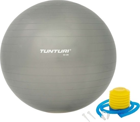 8717842026069 - Fitnessball - Yogaball mit Pumpe - Pilatesball - Schwangerschaftsball - 55 cm - Farbe silber - Inkl kostenloser Fitness-App