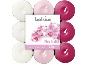 8717847139665 - Bolsius - Duftteelichter Pink Orchidee ø 38 cm 18er Pack Teelichter