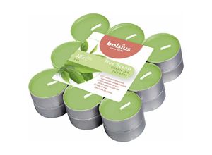 8717847151520 - Bolsius - Duftteelichter True Scents Grüner Tee ø 38 cm 18er Pack Teelichter