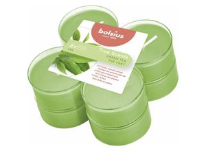 8717847151582 - Bolsius - Duftteelichter Maxi True Scents Grüner Tee ø 46 cm 8er Pack Teelichter