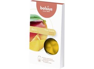 8717847152190 - Bolsius - True Scents - Wax Melts Mango 6er Pack Kerze