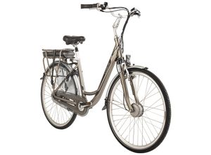 8717853994128 - E-Citybike 28 Basic Grau 250 Watt Li-Ion 36V 13 Ah 7 Gänge