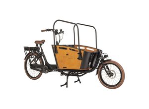 8717853994715 - Cargo E-Bike Carry 2 250W 36V 13 Ah Li-Ion-Akku 8 Gänge