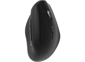 8717868195602 - Kabellose Ergonomische Optische Maus ERGO Für Rechtshänder USB-A Nano Receiver Schwarz