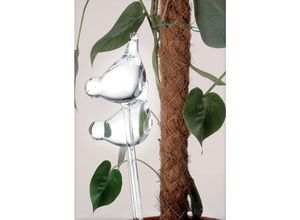 8718158060525 - 2er-Set Blumenbewässerung VÖGEL Bewässerungskugeln für Pflanzen transparent 36 x 10 cm