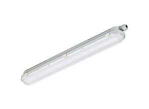 8718699163198 - Led Feuchtraumleuchte CoreLine WT120C 44W 6000lm - 840 Kaltweiß 150cm - 1x Durchgangsverdrahtung - Philips