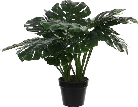 8718861261189 - Monstera Künstliche Pflanze - H60 x Ø80 cm - Grün