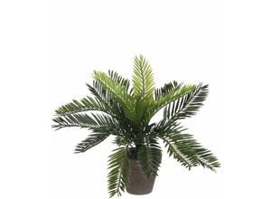 8718861428254 - Mica Decorations - Mica Cycas Palme grün im Topf 33 x 34 cm Kunstpflanzen