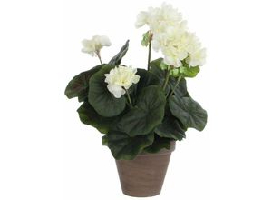 8718861490060 - - Mica Geranium im Topf creme 34 x 20 cm Kunstpflanzen