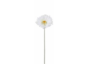 8718861723632 - - Mica künstliche Gerbera creme 51 cm künstliche Pflanze