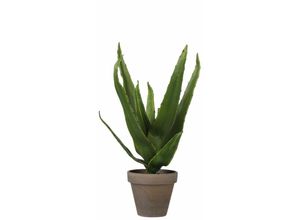 8718861774092 - Mica Decorations - Mica Kunstpflanze Aloe Vera im Topf grün 30 x 16 cm Kunstpflanzen