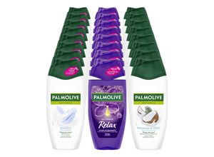 8718951532687 - Duschgel 250 ml verschiedene Sorten 24er Pack