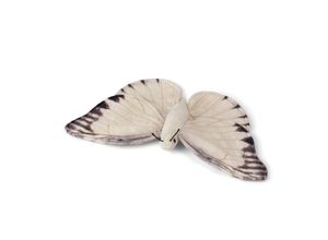 8719066011074 - - Plüschtier - Schmetterling (20cm) lebensecht Kuscheltier Stofftier Plüschfigur