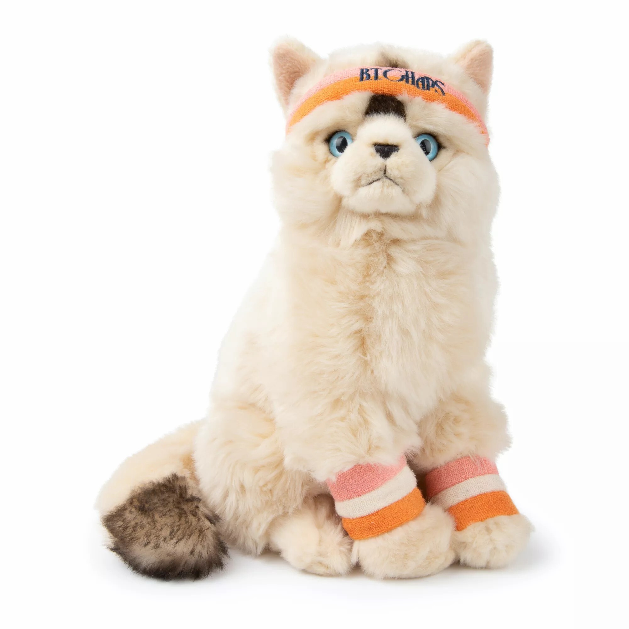8719066012187 - Plüschtier Dolly le Ragdoll