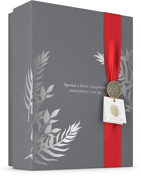 8719134184570 - Aktion - Homme Large Gift Set 2024 1 Stk