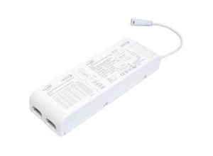 8719157924221 - Ecogetic Dali driver 05A095A (DIP) 30V42V incl DC Cable Set at 800mA (for Noxion)