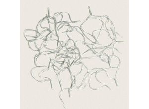 8719202599756 - Ledkia - LED-Girlande Kabel Batterie 5m rgb mit Timer rgb aa - LR65000 mm