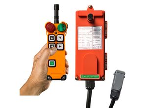 8719482021770 - Delta Hoisting Delta Funksteuerung für DELTA Kettenzug DEH - 4 Tasten 1 Kettenzug