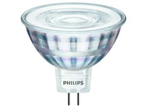 8719514307063 - LED-Reflektorlampe GU53 MR16 44W f 36° 2700K ewws 345lm dc Ø505x455mm 12V COREPROLEDSPOTND44-35WMR1682 - weiß - Philips