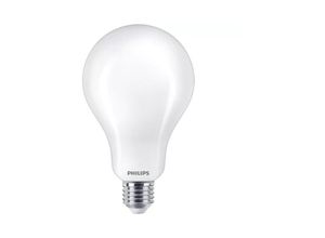 8719514346673 - 23W Led Glühbirne E27 Anschluss 2700K 3452 Lumen INCALED200G2 - Philips