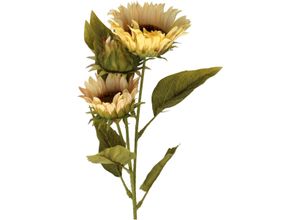 8719533381235 - Kunstblume SUNFLOWER creme