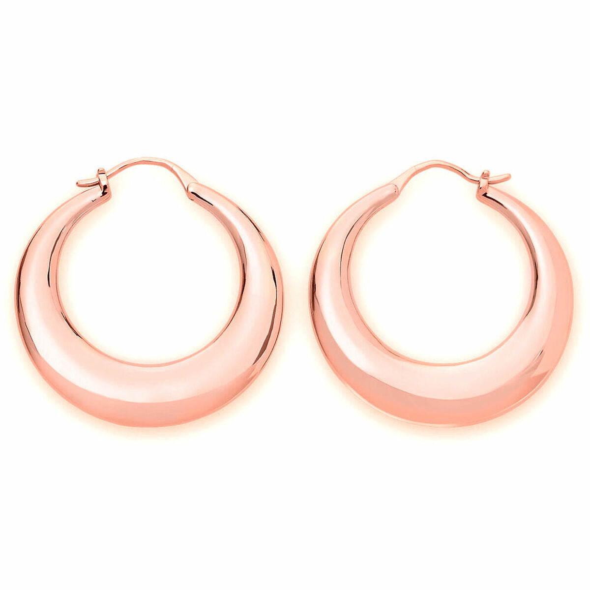 8719632577386 - Ladies Earrings JBHR-J088 3 cm