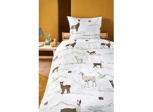 8719931688547 - Kinderbettwäsche BEDDINGHOUSE X HANNEKE DE JAGER Lama Mountain Bettwäsche Gr B L 135 cm x 200 cm 1 St 1 St Renforcé B L 80 cm x 80 cm beige (natur)