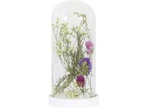 8720006059865 - Dijk Natural - Dijk Kuppel mit Blumen 10 x 10 x 225 cm Deko-Accessoires