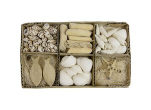 8720006480782 - Dijk Natural - Dijk Muschel Mix in Box 450 g Deko-Accessoires