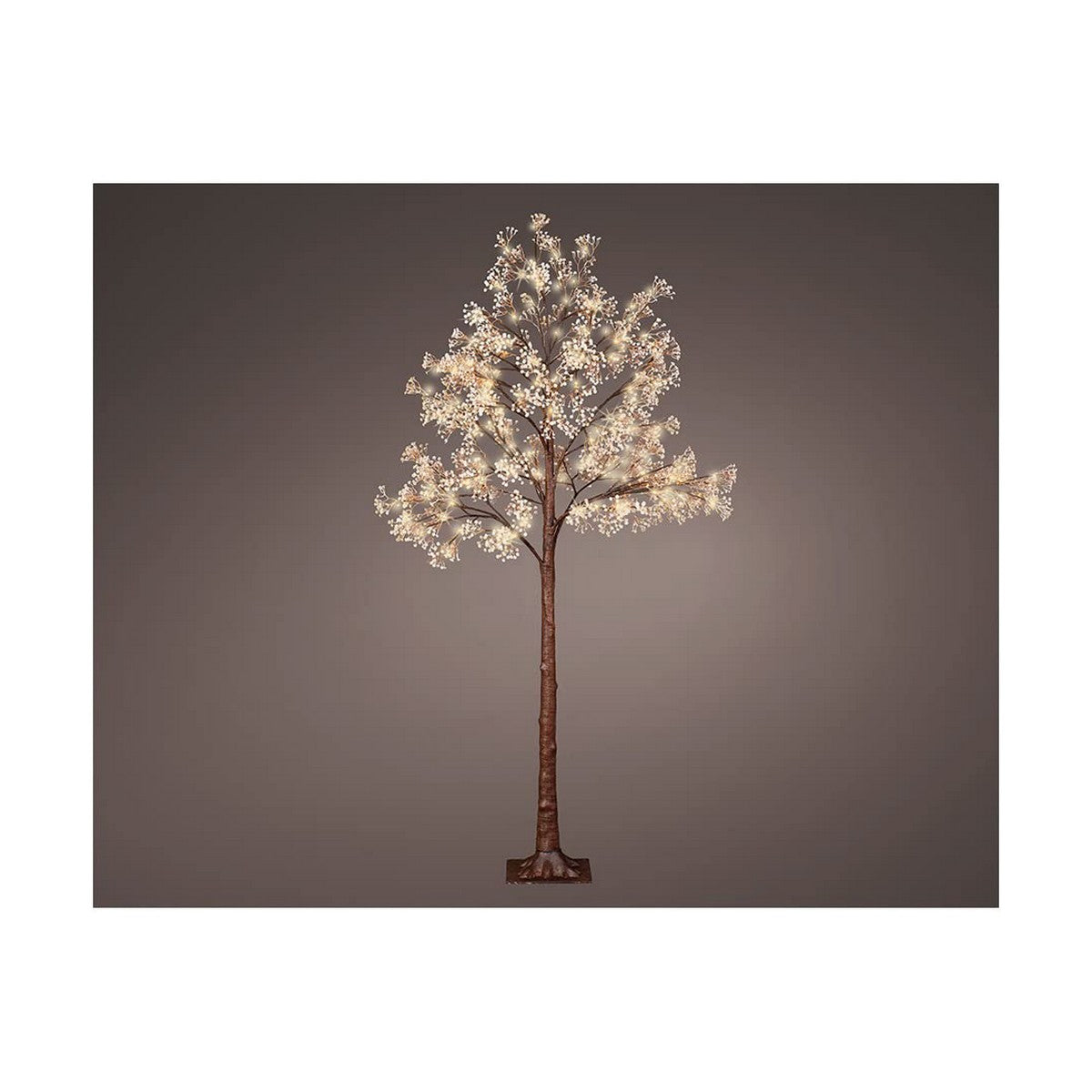 8720093083514 - Weihnachtsbaum Gypsophila (180 cm)