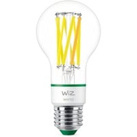 8720169076037 - Filament LED-Lampe A60 60W E27 (ersetzt 60 Watt ultra-effizient) (929003714001) - WIZ