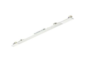 8720169440593 - Lighting LED-Universallichtträger LL515S 80S 44059399 - Philips